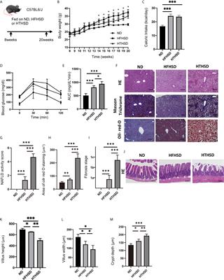 Trans Fatty Acid Intake Induces Intestinal Inflammation and Impaired Glucose Tolerance